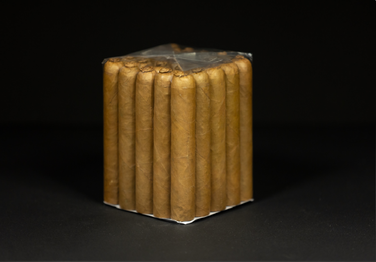 Robusto 5 x 54 PT Connecticut Long Filler