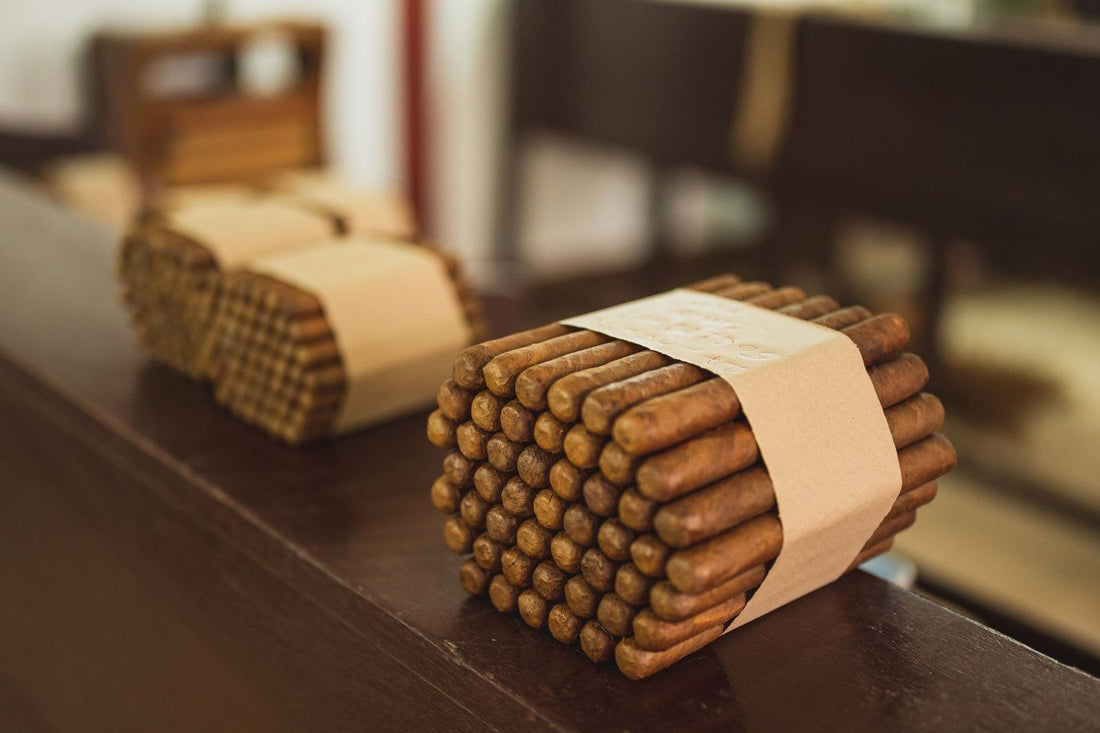 Bundles of premium cigars tied with paper bands